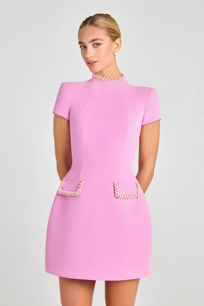 The Blush Elegance Mini Dress